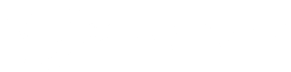 Graphic Punks