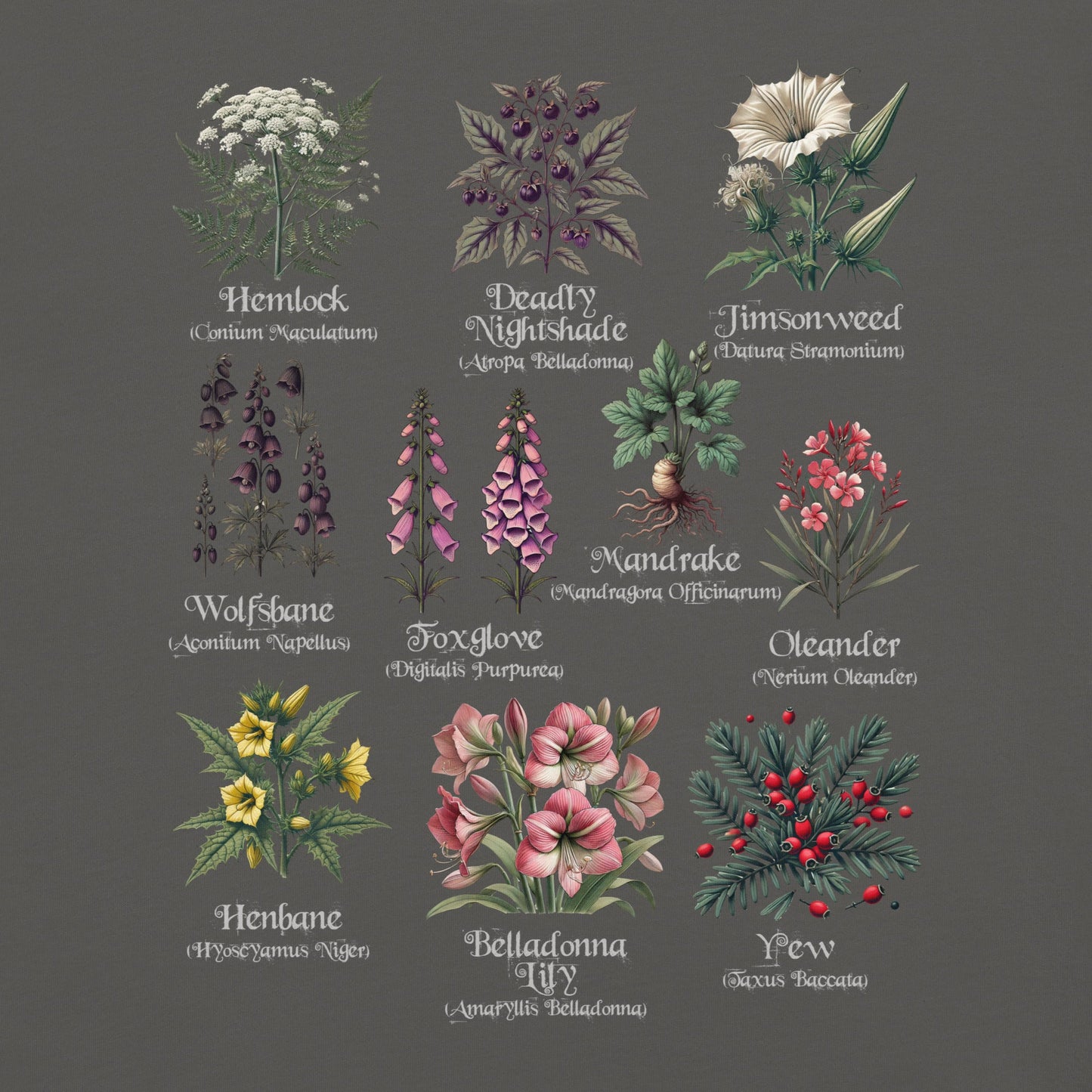 Garden of Shadows Garment - Dyed Heavyweight T-Shirt - Graphic Punks