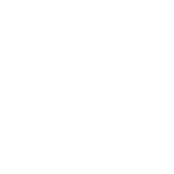 Graphic Punks